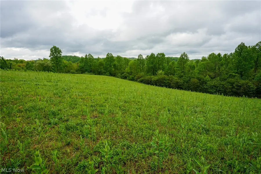 Van Fossen Ln, Chesterhill, OH 43728 - #3