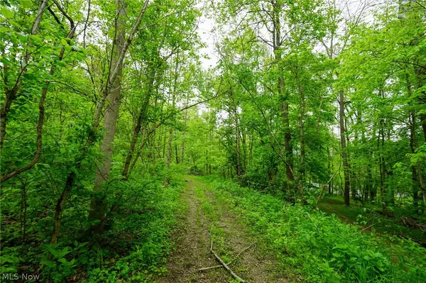 Ervin Ln, Stockport, OH 43787