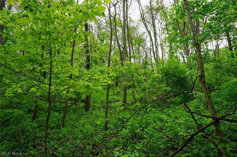Ervin Ln, Stockport, OH 43787 - #2