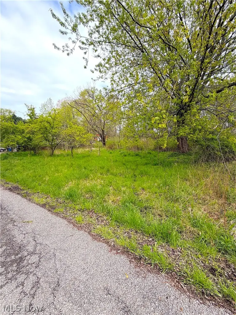 E 7th Street, Ashtabula, OH 44004 - #3
