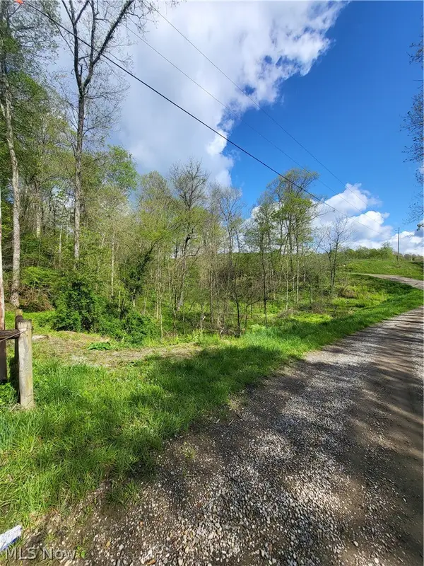Township Road 62, Dresden, OH 43812