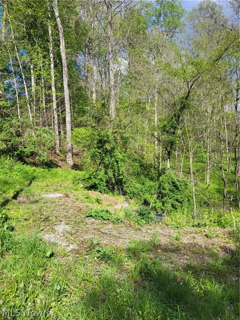 Township Road 62, Washington, OH 43812 - #3