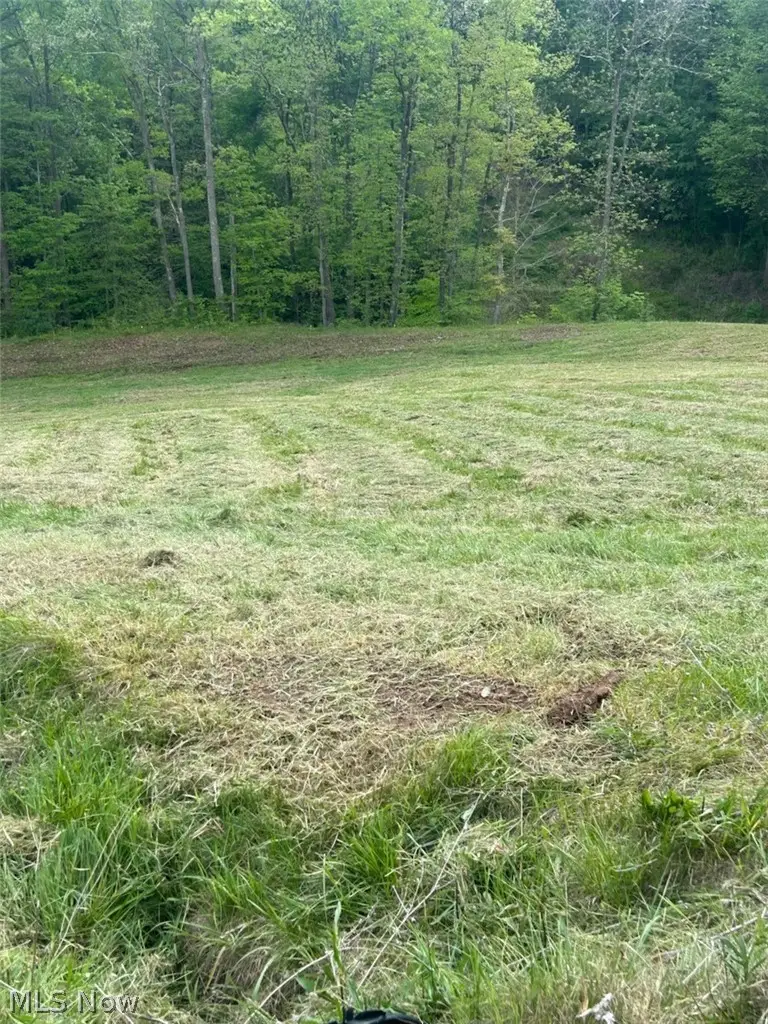 County Line Road, Saint Marys, WV 26170 - #1