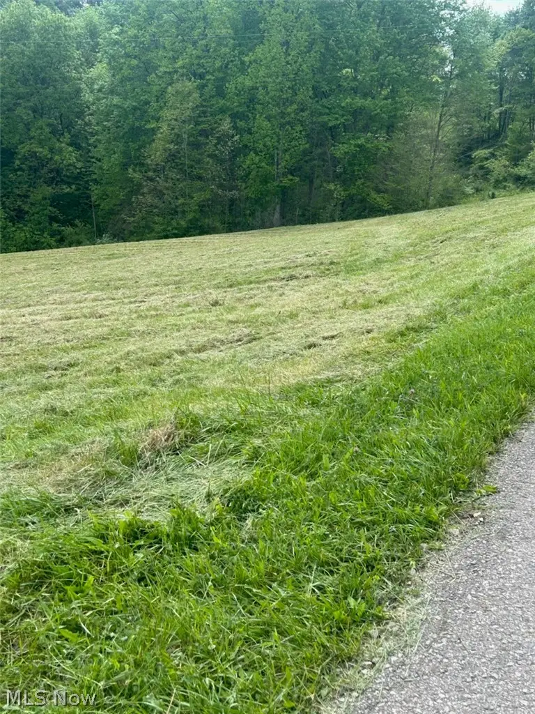 County Line Road, Saint Marys, WV 26170 - #3