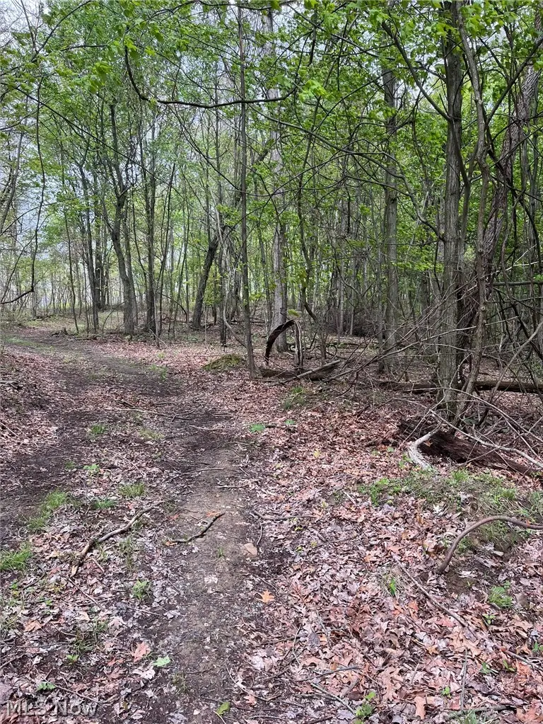 Sandy Ridge Road, Tippecanoe, OH 44699 - #1