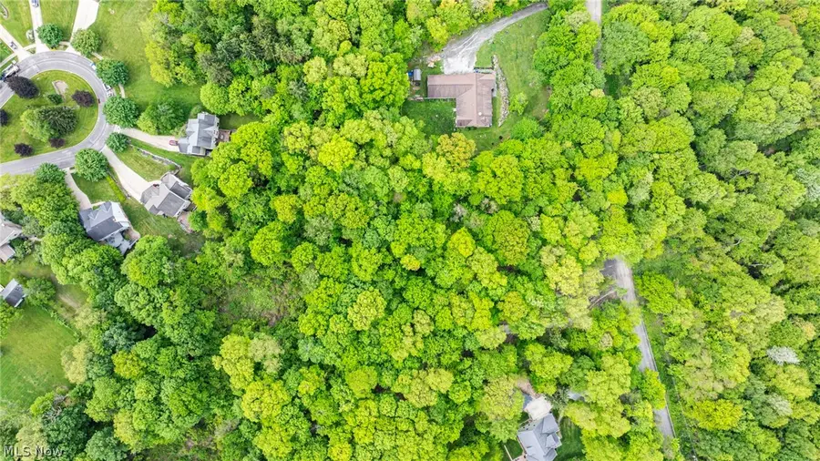 13561 Colony Lane, Burton, OH 44021 - #3