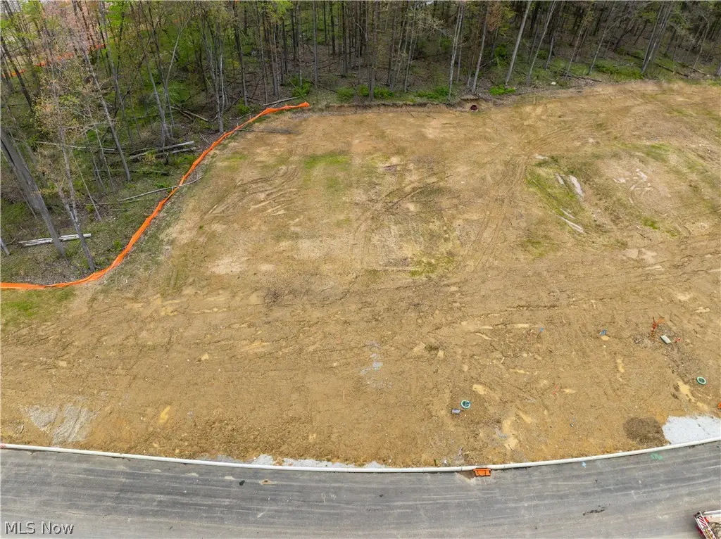 9524 River Birch Run, Brecksville, OH 44141 - #1