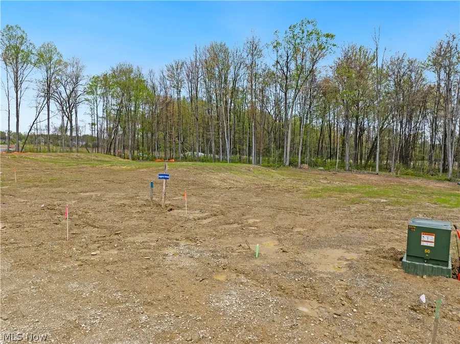 9527 River Birch Run, Brecksville, OH 44141 - #2