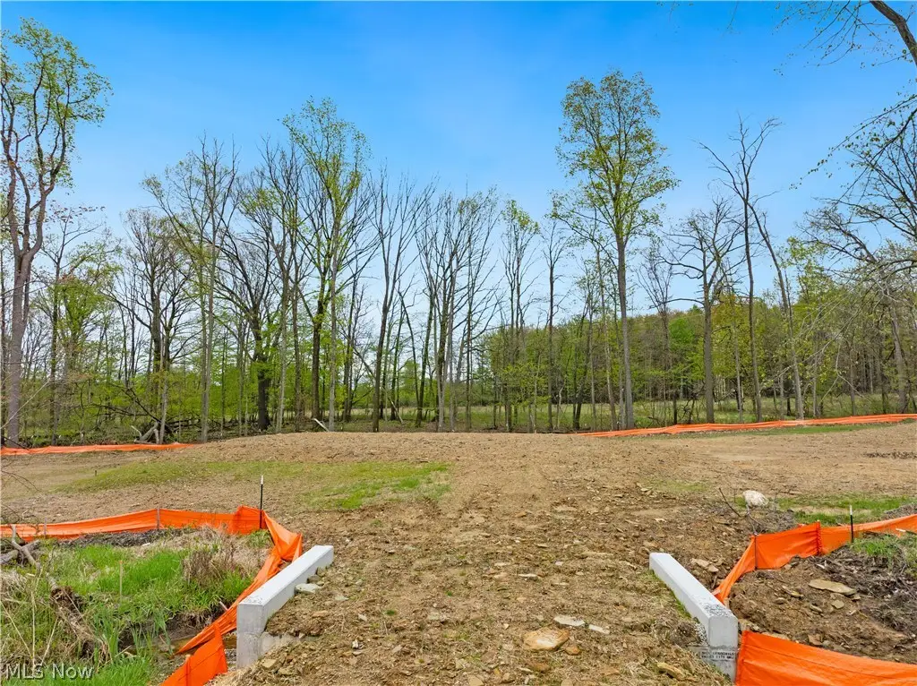9528 River Birch Run, Brecksville, OH 44141 - #1