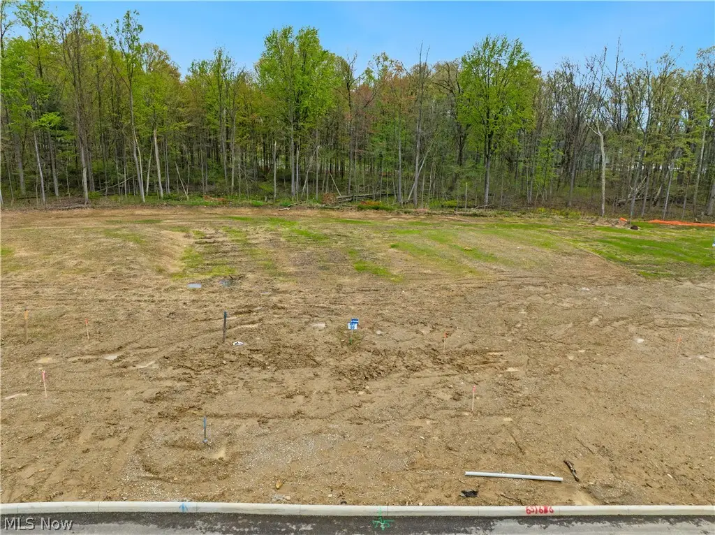 9531 River Birch Run, Brecksville, OH 44141 - #1