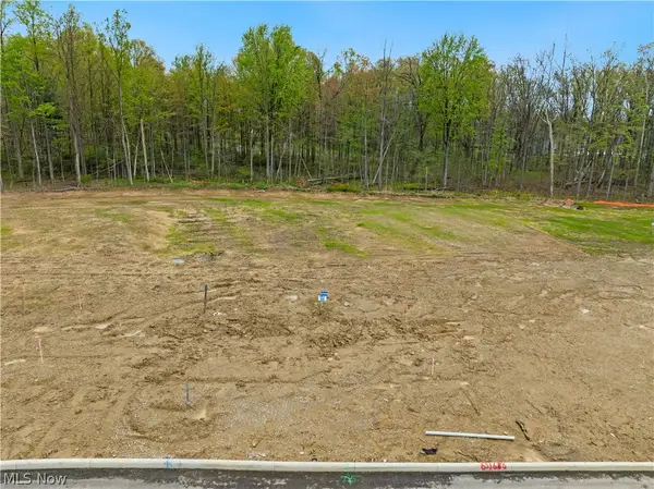 9531 River Birch Run, Brecksville, OH 44141