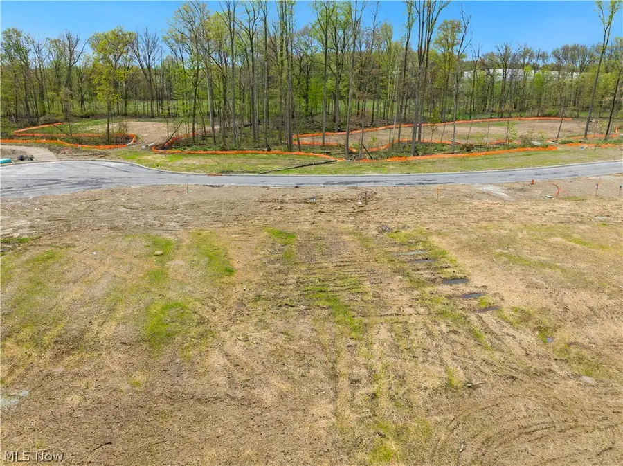 9531 River Birch Run, Brecksville, OH 44141 - #3