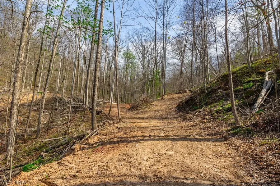 0 Twp Rd 63 Deans Fork Rd #5, Whipple, OH 45788 - #3