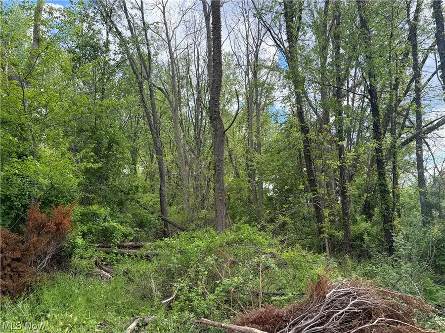 V/L Trenton Road, Akron, OH 44312 - #2