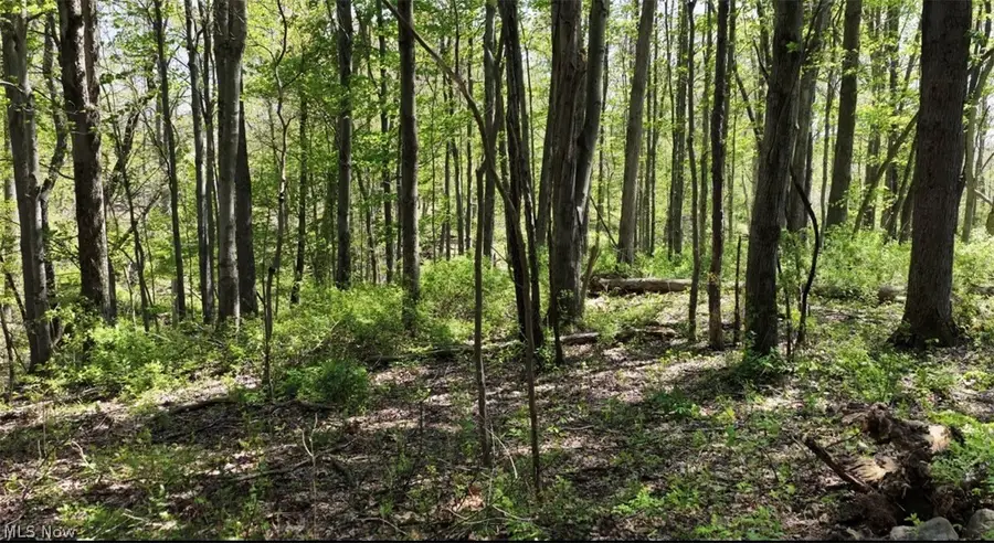 1166 County Road 2075, Ashland, OH 44805 - #2