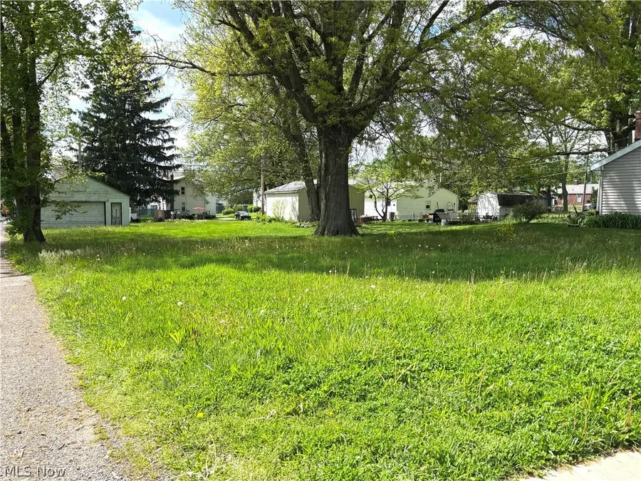 233 S Vine Street, Columbiana, OH 44408 - #2