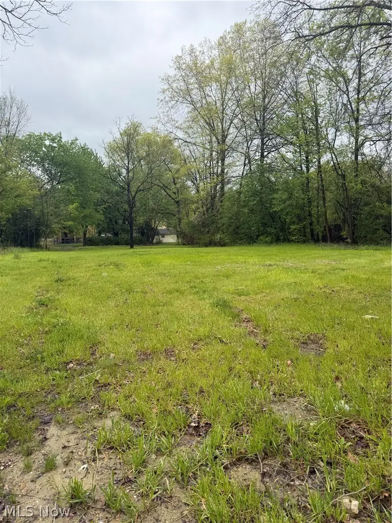 463 S Chestnut Street, Ravenna, OH 44266 - #3