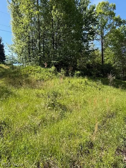 Scott Dr, Newcomerstown, OH 43832 - #3