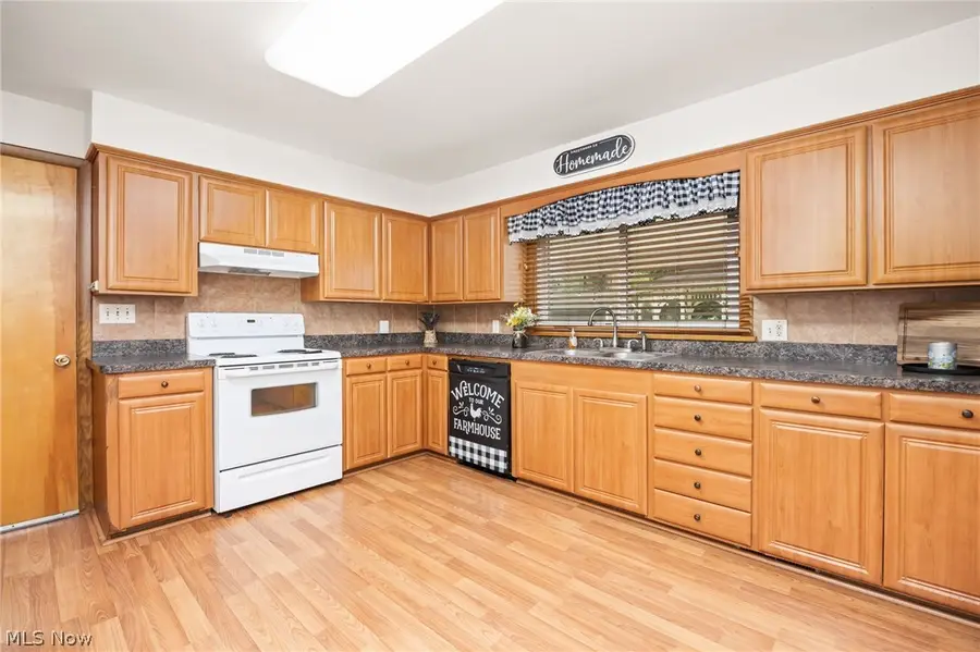 102 Young Drive, Lodi, OH 44254 - #3