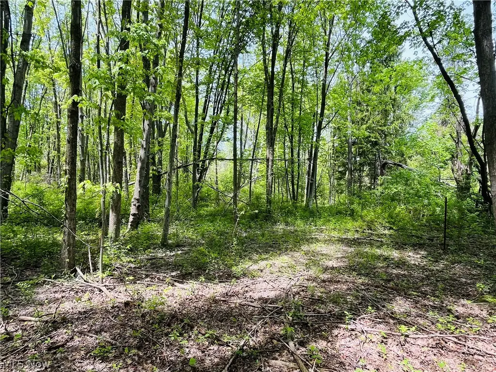 Bates Road, Madison, OH 44057 - #1