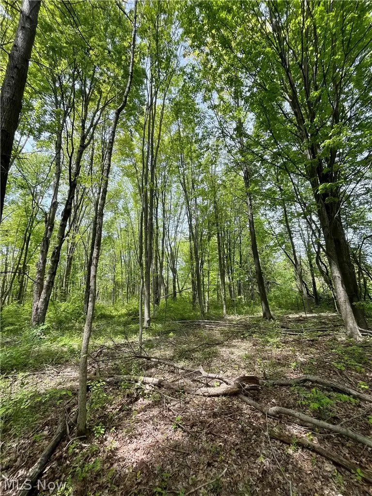 Bates Road, Madison, OH 44057 - #2