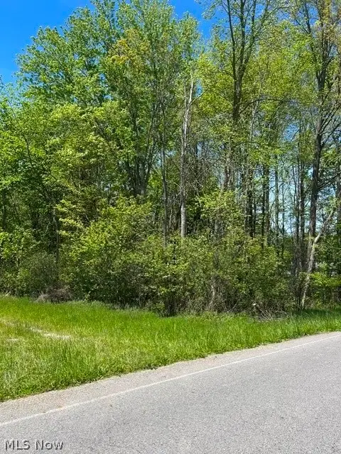8086 S Raccoon Road, Canfield, OH 44406 - #3