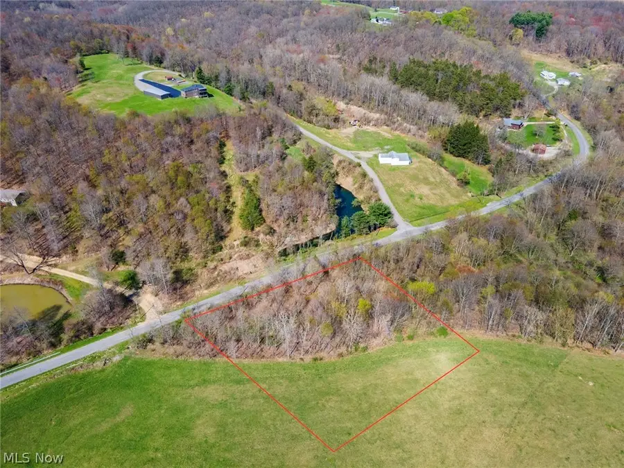 38894 Mattix Road, Lisbon, OH 44432 - #3
