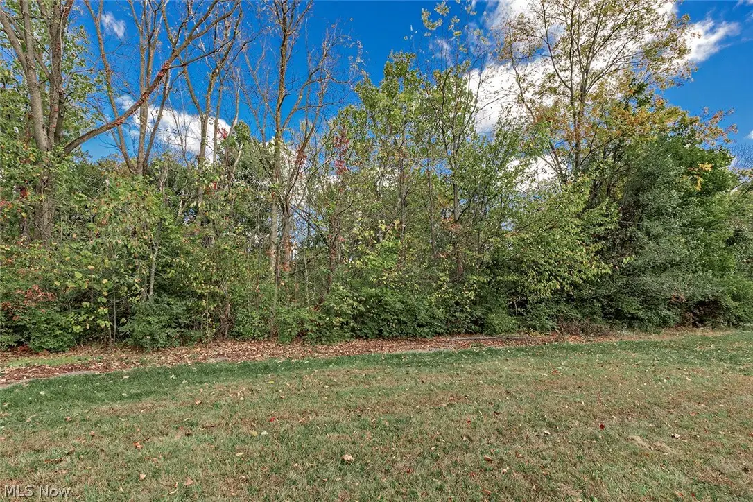 V/L Usher Road, Olmsted, OH 44138 - #1