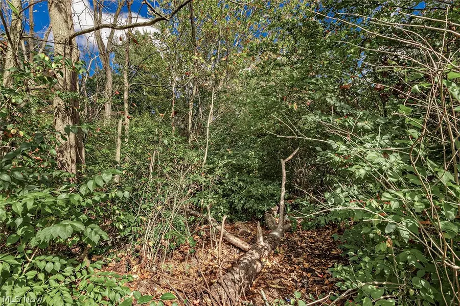 V/L Usher Road, Olmsted, OH 44138 - #2
