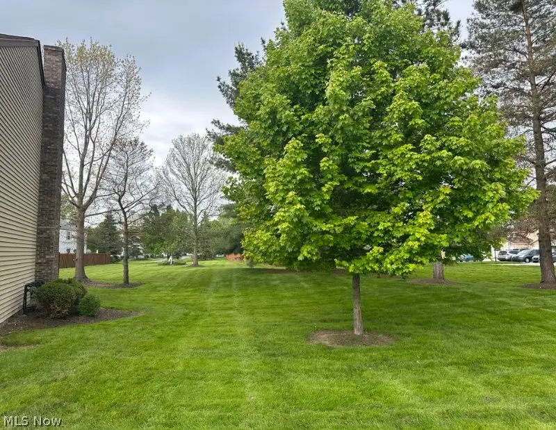 9632 E. Idlewood Drive, Twinsburg, OH 44087 - #2