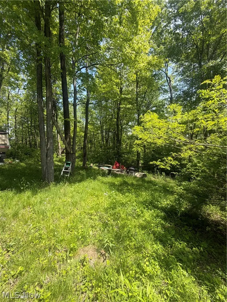 Se Robinhood Rd, Dennison, OH 44621 - #3