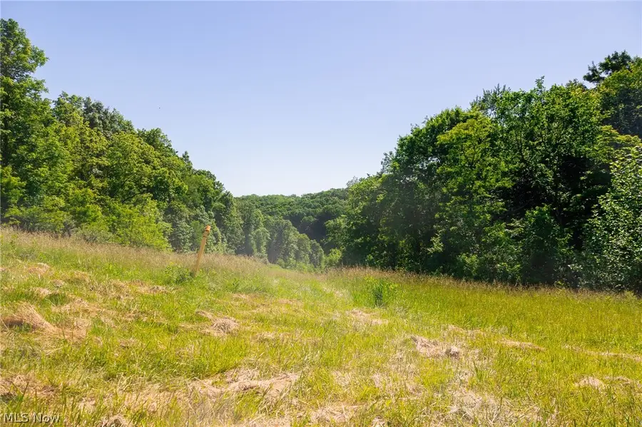 84143 Gilmore Ridge Road, Cadiz, OH 43907 - #3