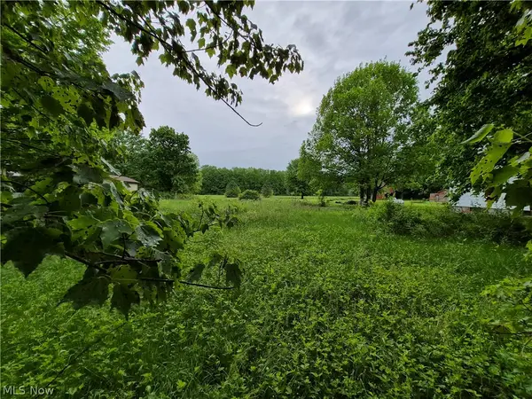 Newell Ledge Road, Garrettsville, OH 44231