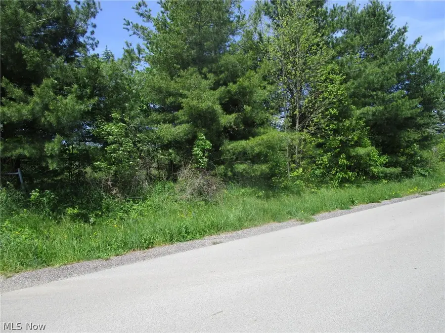 VL Doyle Road, Jefferson, OH 44047 - #3