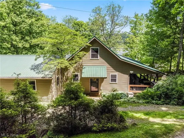 33605 Goodrich Drive, Piedmont, OH 43983