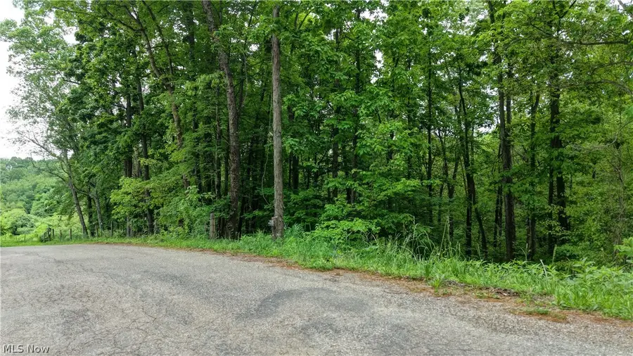 Tatman Road, Uhrichsville, OH 44683 - #3