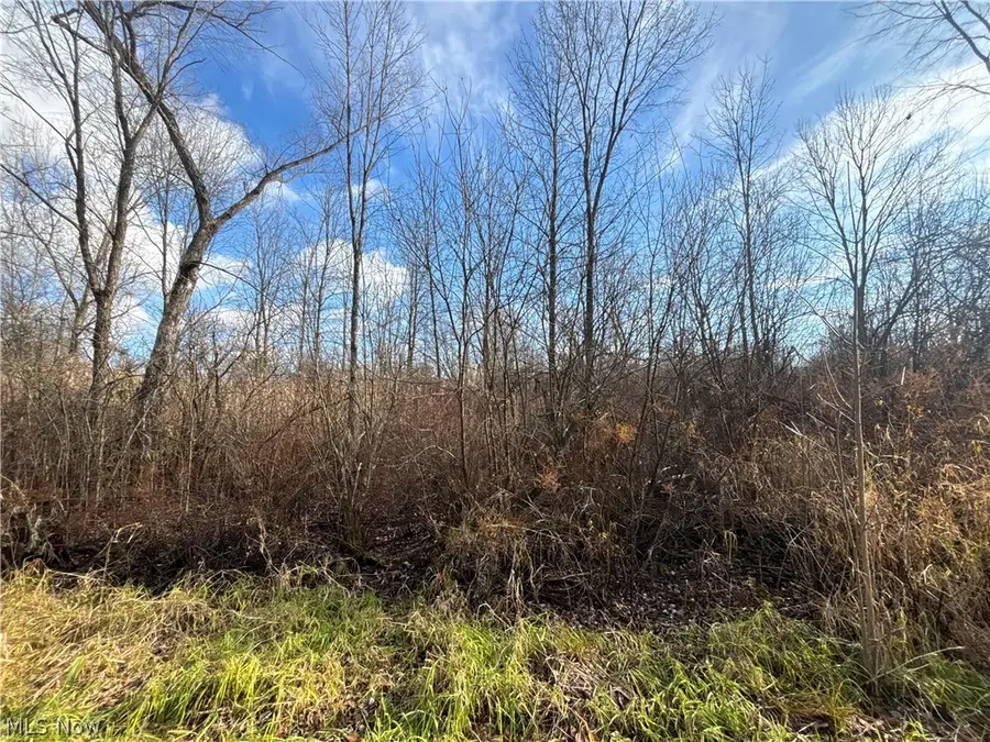 10775 Bell Road, Newbury, OH 44065 - #2