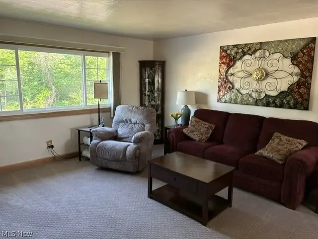 224 Lorraine Drive, Weirton, WV 26062 - #3