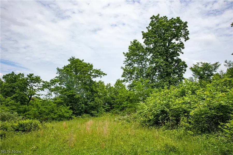 52740 Cr 425, Fresno, OH 43824 - #3