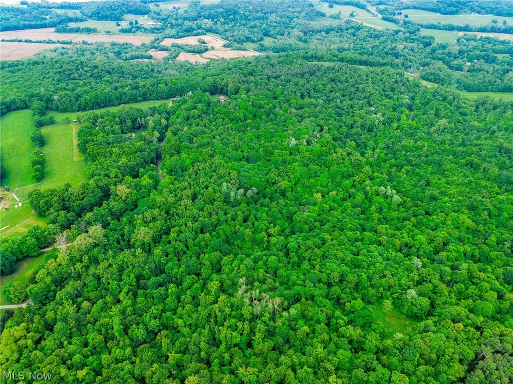 Miller Hill Road, Warren, OH 44678 - #1