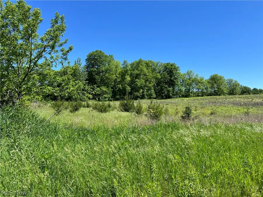 Shaw Road, Spencer, OH 44275 - #3