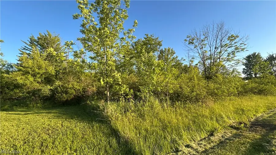 Weimer Drive, Ashtabula, OH 44004 - #3