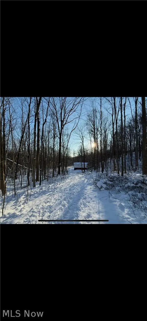 0 Winterberry Lane, Chardon, OH 44024 - #1