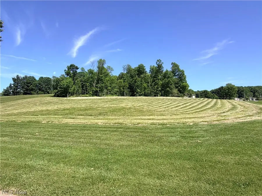 Banks Avenue, Loudonville, OH 44842 - #3