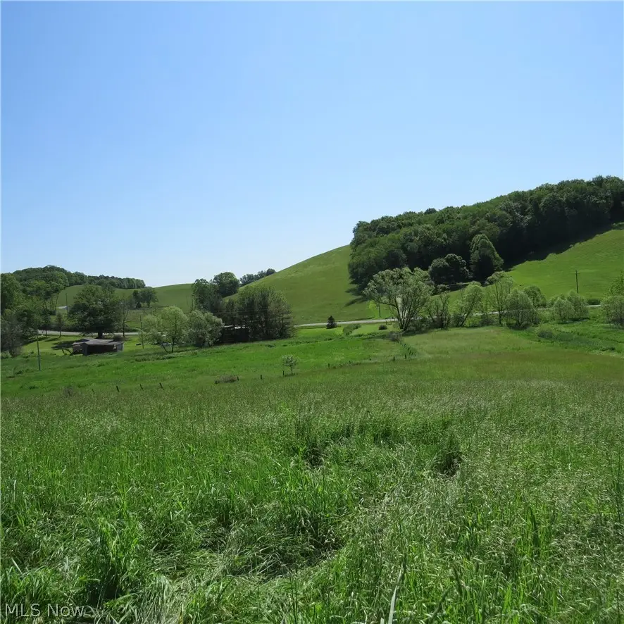 Fargo Sw Road, Dellroy, OH 44620 - #3