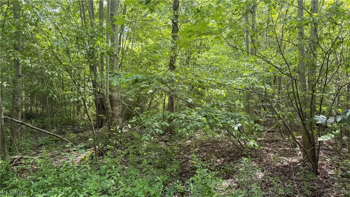 Ninevah Road, Geneva, OH 44041 - #1