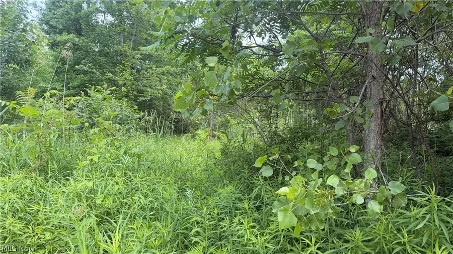 Ninevah Road, Geneva, OH 44041 - #3