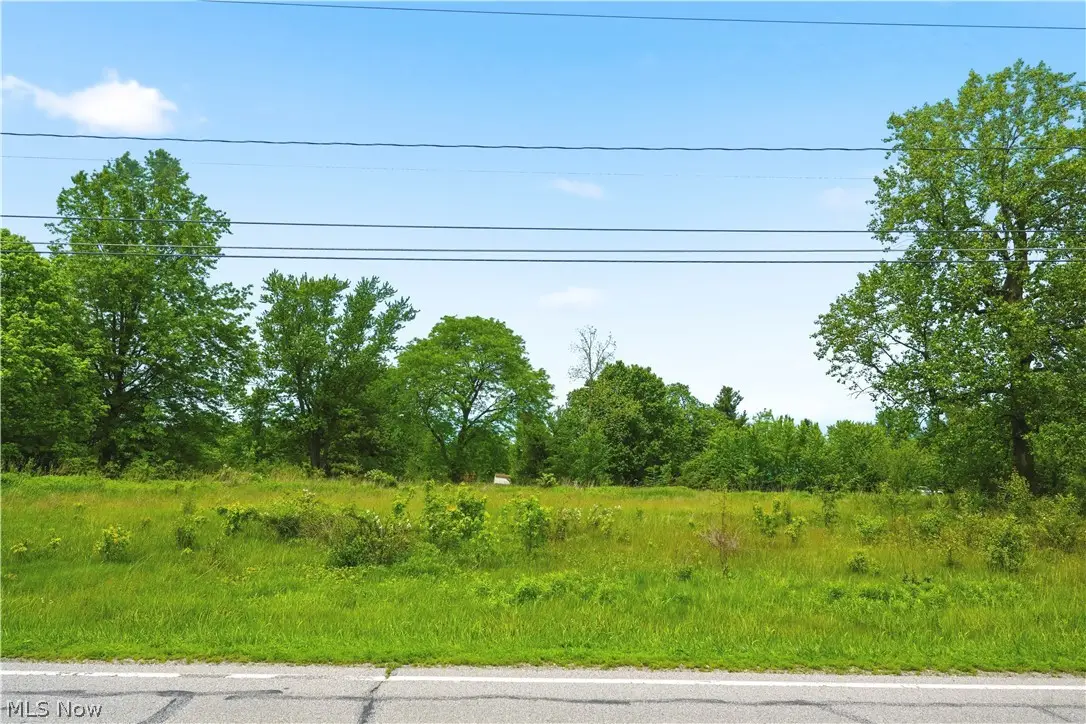 3133 Greenwich Road, Wadsworth, OH 44281 - #1