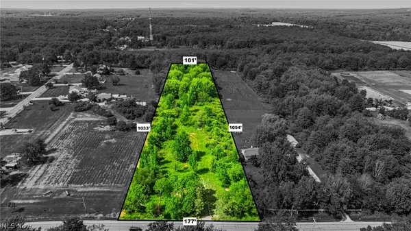 14161 Painesville Warren Road, Painesville, OH 44077