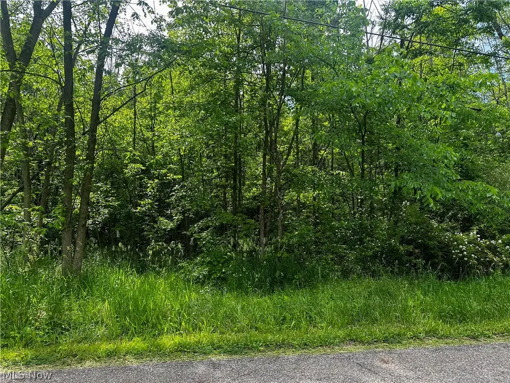 2375 Howland Wilson Ne Road, Cortland, OH 44410 - #1
